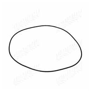 O-RING