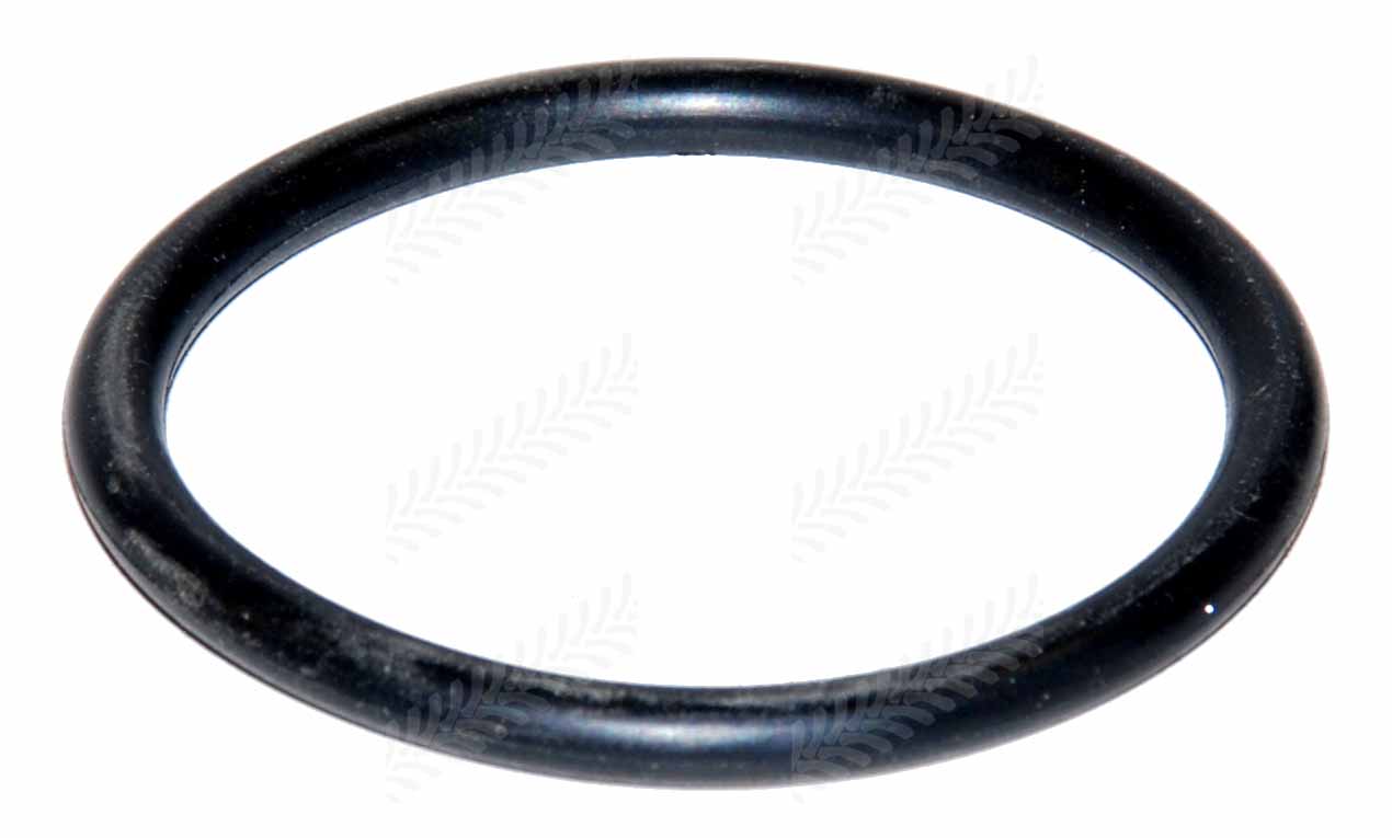 Ford 76192204