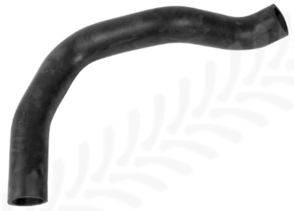 Renault (FR) 770002295