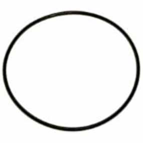 123/4966231 - O-RING
