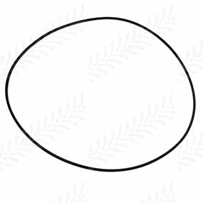 123/5109408 - O-RING