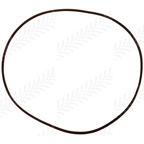 123/5169561 - O-RING
