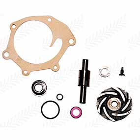 20/131-80 - WATER PUMP REPAIR KIT