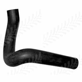 20/154-151 - BOTTOM HOSE