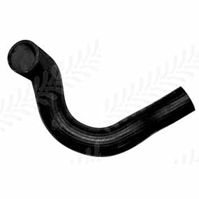 20/154-83 - BOTTOM HOSE