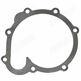 21/131-100 - GASKET