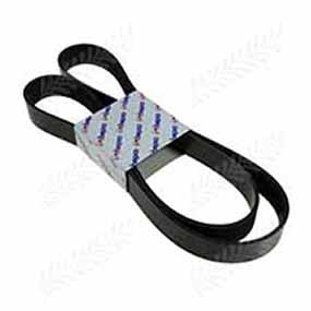 21/144-3025 - RIBBED BELT 