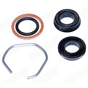 21/411-31 - CYLINDER REPAIR KIT