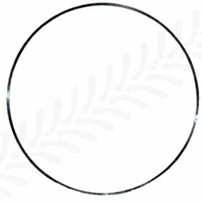 21/51-2 - Shim 0.50mm for Claas / Renault / Deutz / Fendt tractor models