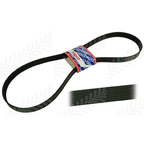 22/144-67 - Ribbed Belt 8 pk x 1700 for Case-IH / Claas - Harvesting / Fendt / New Holland Models
