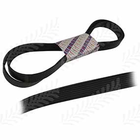 24/144-57 - Ribbed belt 6 pk x 2555 for Ford 40 / New Holland TS / New Holland TS Brasil series