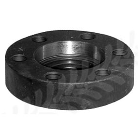 24/245-4 - PTO DRIVE PLATE
