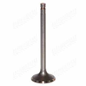 24/42-13B - Cylinder head inlet valve +0.381mm - 0.015" - 0.381mm - Ford (81823825, 81842752, 87800346, C5NN6507D, D3NN6507C)