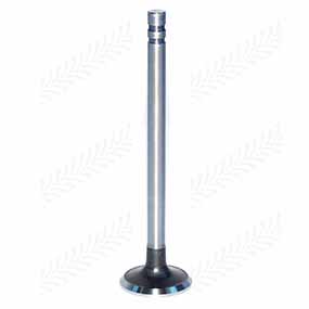 24/43-13 - Exhaust valve for Ford models (81818709, 81843651, 87295253, C7NN6505E, D3NN6505A)