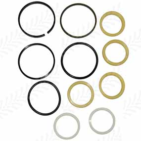 24/494-5 - Seal kit for Case-IH / Claas / Renault / Ford / John Deere tractor models