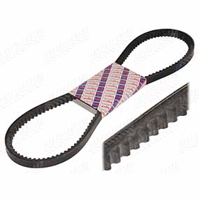 25/144-169 - V-BELT