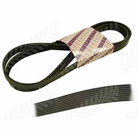 25/144-181 - RIBBED BELT 