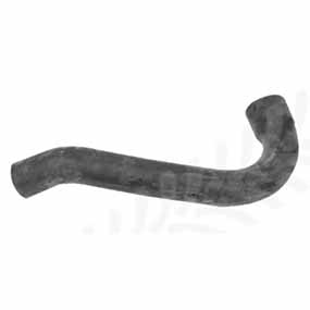25/154-29 - BOTTOM HOSE