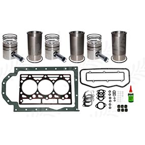 25/30-123 - Engine Overhaul Kit for Case-IH 