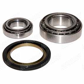 25/460-18 - BEARINGS KIT