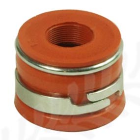 25/47-68 - Valve Seal for Case-IH Maxxum series