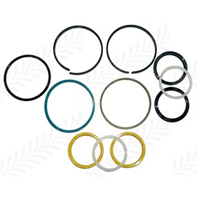 25/585-51 - Seal Kit for Case-IH Maxxum series