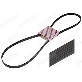 26/144-112 - RIBBED BELT 