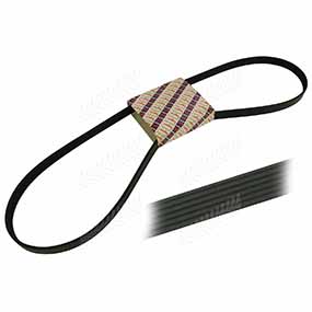 26/144-116 - RIBBED BELT 
