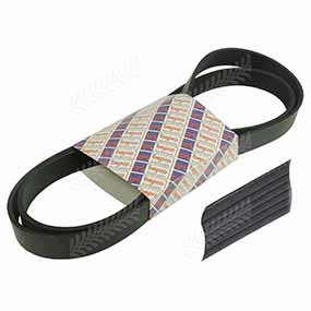 26/144-117 - RIBBED BELT 