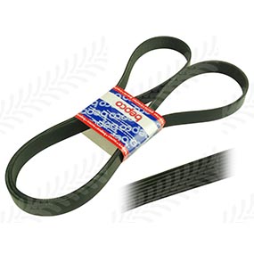 26/144-621 - RIBBED BELT 