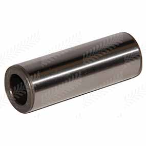 26/486-19 - PIN