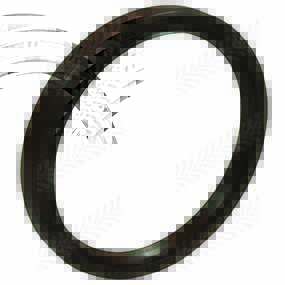 29/13-404 - REAR CRANKSHAFT SEAL