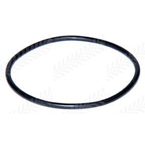 30/305-23 - O-RING