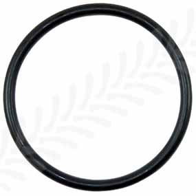 30/306-1 - O-RING