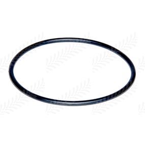 30/306-2 - O-RING