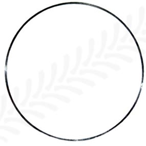30/51-11 - Shim 0.004'' for Massey Ferguson / Volvo Models (1696012M91 / 33127107 / 735227M1 / PER33127107)
