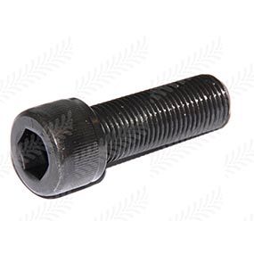 30/666-1 - ROCKER LINK SCREW