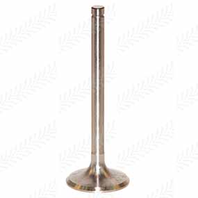 37/Z80005014 - INTAKE VALVE 