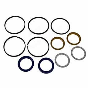 48/585-61 - Axle cylinder gasket set to fit Case-IH Maxxum MX series (247529A1)