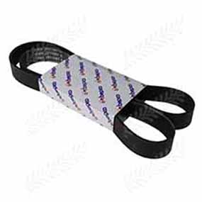 54/144-3019 - RIBBED BELT 