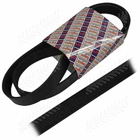 54/144-731 - RIBBED BELT 