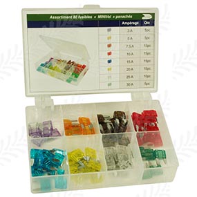 63/1787-101 - Mini Flat Plugs Fuse Pack 5a -> 30a - 80 pcs