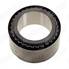 B1983 - NEEDLE ROLLER BEARING