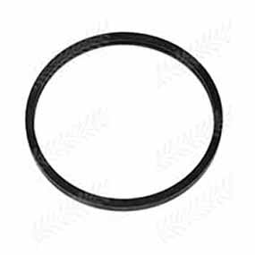 B37711 - O-RING