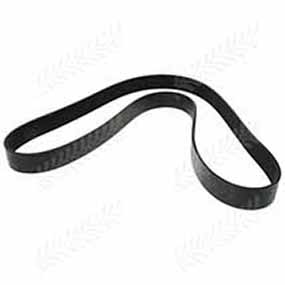 B38587 - RIBBED BELT 