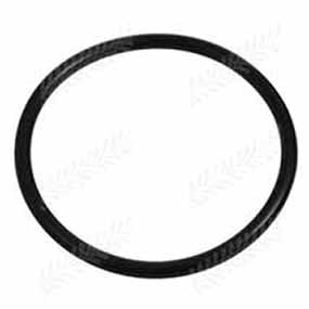 B39974 - O-RING