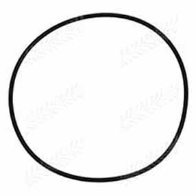 B40195 - O-RING