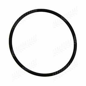 B40901 - O-RING