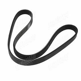 B40912 - RIBBED BELT 