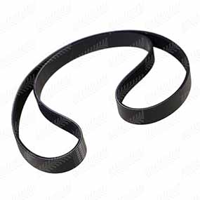 B40928 - RIBBED BELT 